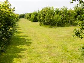 Camping De Rugediek in De Koog - Texel