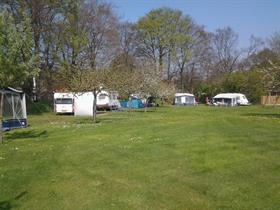 Camping De Appelhof in Midlaren