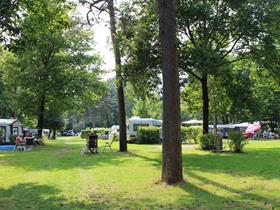 Camping Bosbad Hoeven in Hoeven