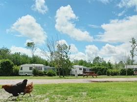 Camping Pieters farm in Scherpenzeel