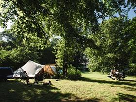Camping Oude Willem in Oude Willem