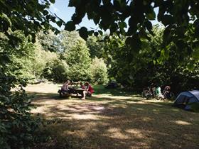 Camping Oude Willem in Oude Willem