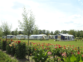 Camping Anne-Marie Hoeve in Oisterwijk