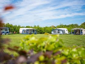 Camping Op de Veranda in Lage Mierde