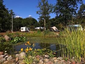 Camping De Drentse Patrijs in Uffelte