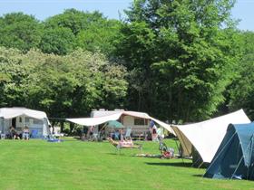 Camping Vogelenzang in Vogelenzang