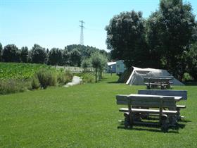 Camping Fûgelfrij in Hichtum