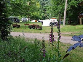 Camping Zegenoord in Loenen