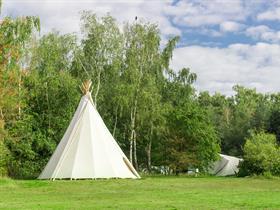 Camping Wega in Weert