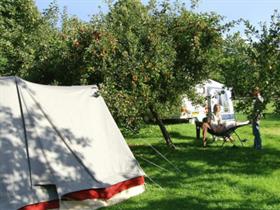 Camping De Gaard & Doors Logies in Lelystad