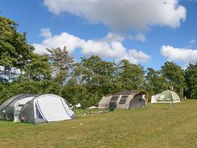 Camping Aaster uiltje in Terschelling/Hoorn