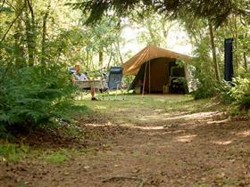 Camping Aaster uiltje in Terschelling/Hoorn