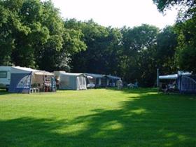 Camping De Berkebomen in Ermelo