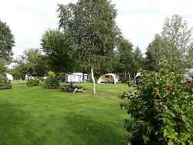 Camping Loeksham in Emmen