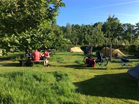 Camping Klein Groenbergen in Leersum