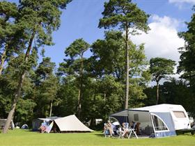 Camping Het Grote Bos in Doorn