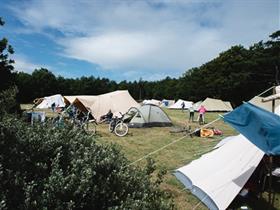 Camping Lies in Formerum-Terschelling