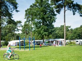 Camping De Heldense Bossen in Helden