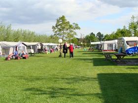 Camping 't Skônste Plekske in Schijndel