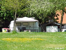 Camping Bruisterbosch in Sint Geertruid