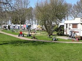 Camping De Tesseplekke in Veessen