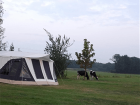 Camping Boszicht in Ommen