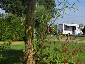 Camping Wulpen in Cadzand