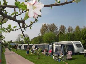 Camping De Vijverhof in Ommeren