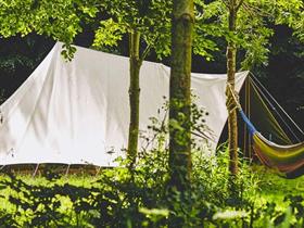 Camping Het Bos Roept in Slootdorp
