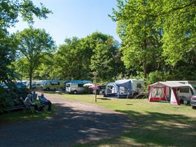 Camping De Weuste in Reutum