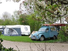 Camping 't Seléantsje in Molkwerum