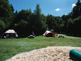 Camping Dassenburcht in Staphorst/Punthorst
