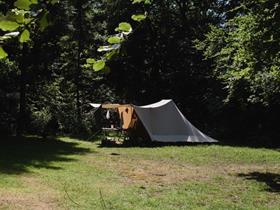 Camping Dassenburcht in Staphorst/Punthorst