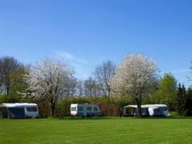 Camping De Tienmorgen in Beers