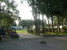 Camping De Klaverhoeve in Coevorden