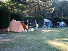 Camping Den Buizerd in Geijsteren