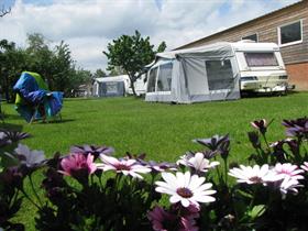 Camping De Heikant in Berkel-Enschot