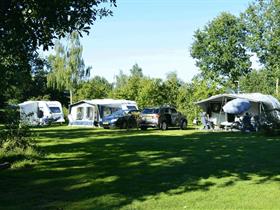 Camping Jelly's Hoeve in Havelte