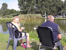 Camping Scheldehoeve in Hoofdplaat