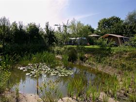 Camping De Groenstraat in Dongen