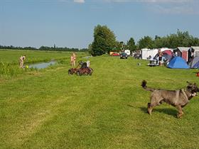 Camping Doornenbal in Nieuwersluis