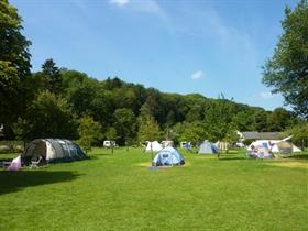 Camping De Gele Anemoon in Wijlre