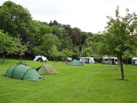 Camping De Gele Anemoon in Wijlre