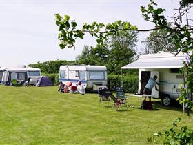 Camping Amalia in Den Hoorn - Texel