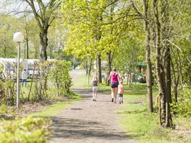 Camping Westerbergen in Echten