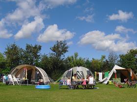 Camping De Vrije Vogel in Oudeschild - Texel