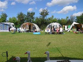 Camping De Vrije Vogel in Oudeschild - Texel