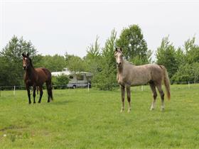 Camping Balstien in Bontebok