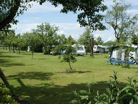 Camping Zwaluwlust in Beilen