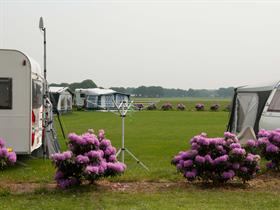 Camping Meerveld in Uddel